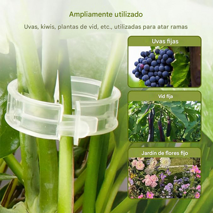 🍅🌱【50%OFF】【🔥200 piezas】Clip de fijación ajustable para el crecimiento saludable de plántulas – Soporte seguro, fácil de usar y favorece un desarrollo rápido