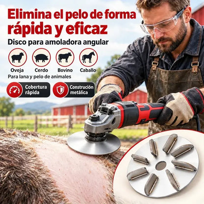 🔧Oferta limitada: -30%🪚 Disco Desplumador de Acero Inoxidable para Amoladora | Disco Quitapelos para Limpieza y Procesado de Carne de Cerdo, Oveja y Ternera