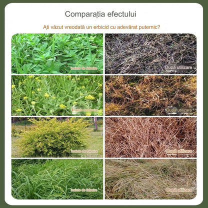 🌿【Cumpără 1, primești 2 gratuit】Erbicid cu glufosinat de concentrație mare 