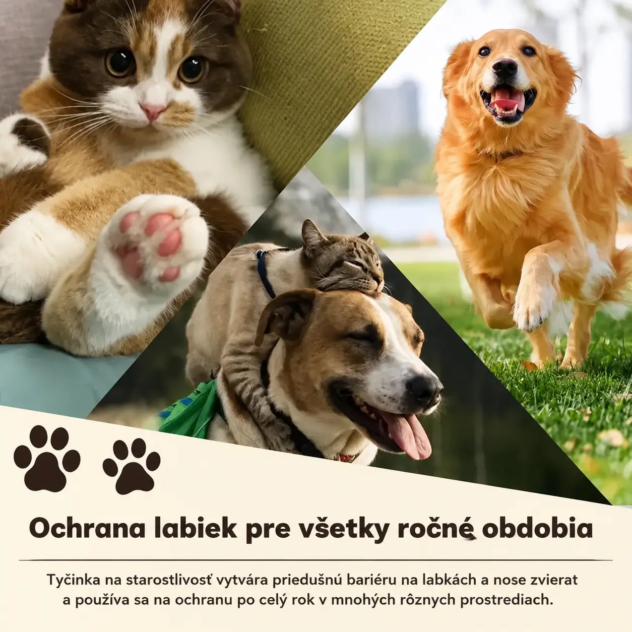 💧🐾 Hydratačný balzam na labky – 🐶 Rozmaznávajte jemné a zdravé labky vášho domáceho maznáčika