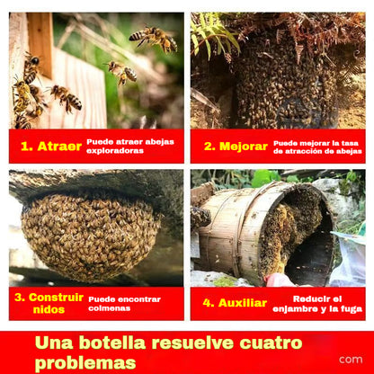 【¡Oferta por tiempo limitado!】🐝 Ungüento atrayente para abejas: ¡fórmula natural, rápida efectividad! ¡La solución rápida para atraer enjambres a la colmena!