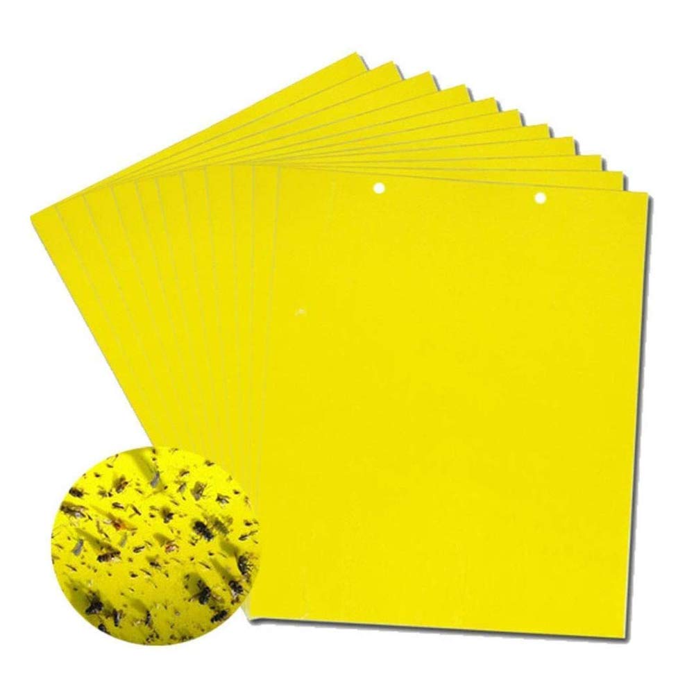🔥【60 pcs】【Oferta por tiempo limitado】💥Tablero adhesivo de insectos de doble cara amarillo