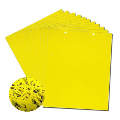 🔥【60 pcs】【Oferta por tiempo limitado】💥Tablero adhesivo de insectos de doble cara amarillo