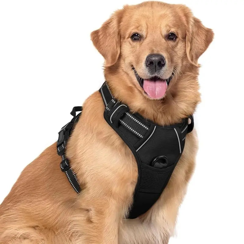 🦮Correa antitirones para perros