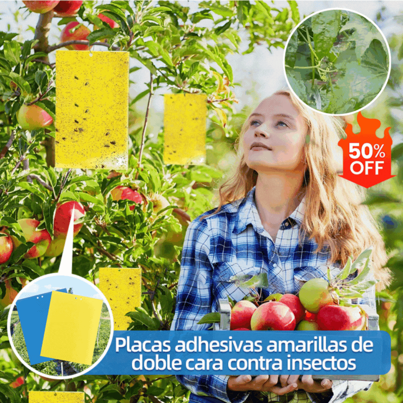 🔥【60 pcs】【Oferta por tiempo limitado】💥Tablero adhesivo de insectos de doble cara amarillo