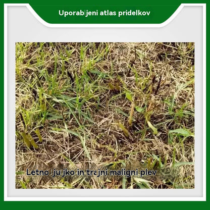 🌿【5 pakiranj】Jinfanda glifosatni herbicid, 80 % amonijeva sol glifosata🌳🌱