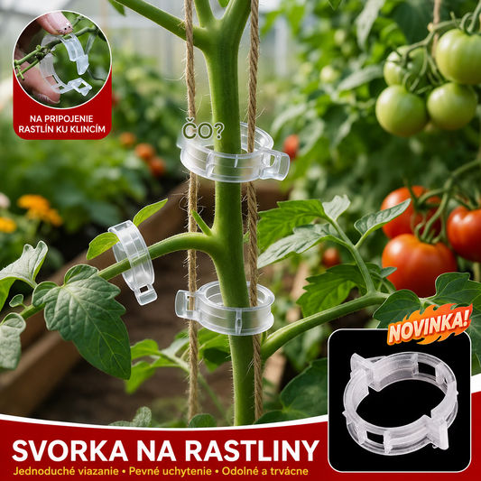 🌱【1 sada 200 🍅 】Pamätáte si na časy, keď vašu záhradu rozdrvilo ovocie? S týmito klipmi sa dá podoprieť všetko.