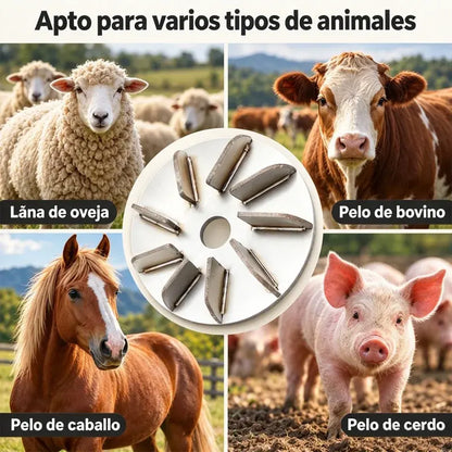 🔧Oferta limitada: -30%🪚 Disco Desplumador de Acero Inoxidable para Amoladora | Disco Quitapelos para Limpieza y Procesado de Carne de Cerdo, Oveja y Ternera