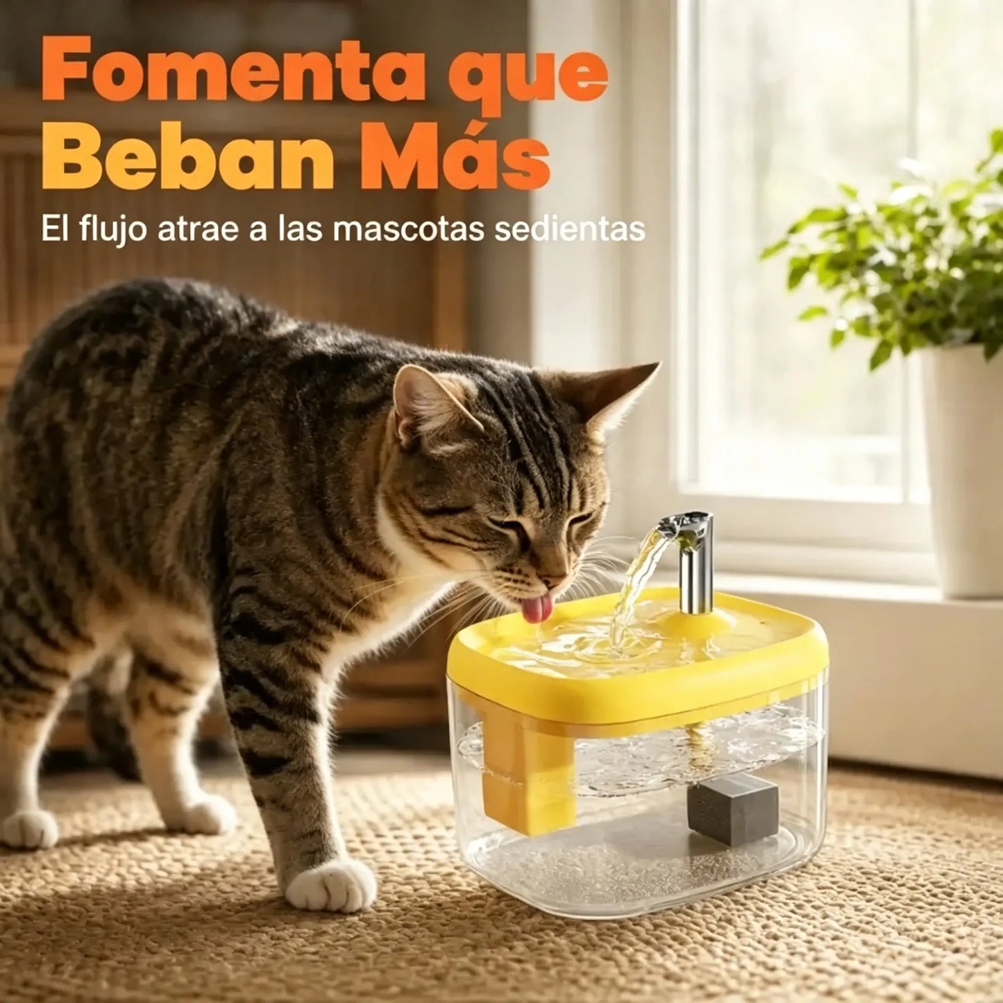 Dispensador de agua para mascotas ilent con cuenco de PET apto para alimentos 🐾 Agua fresca, fluida y perfecta para bebedores exigentes ✨
