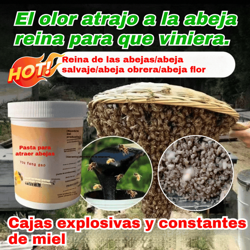 【¡Oferta por tiempo limitado!】🐝 Ungüento atrayente para abejas: ¡fórmula natural, rápida efectividad! ¡La solución rápida para atraer enjambres a la colmena!