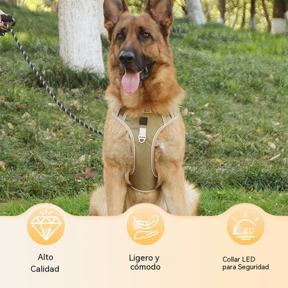 🐶¡50% OFF! Arnés antitirones + Correa 2m GRATIS