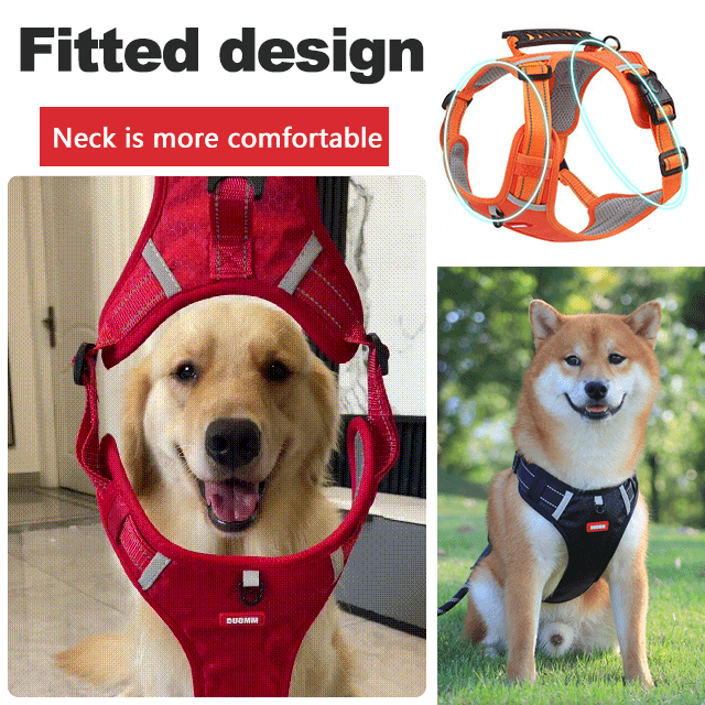 🐶🐶【5–30 kg】Postroj pre psov, proti ťahaniu, pre domáce zvieratá.