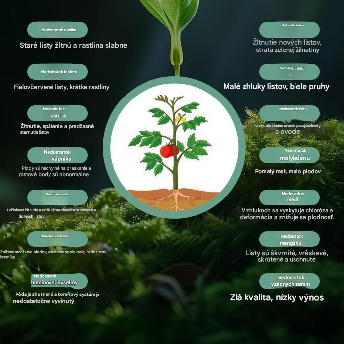🥔🌱[10] Rozpustné listové hnojivo „Zázračný zemiak“  | Vhodné pre zemiaky, arašidy, sladké zemiaky, reďkovky, taro a cibuľu – podporuje rast koreňov a zvyšuje výnos