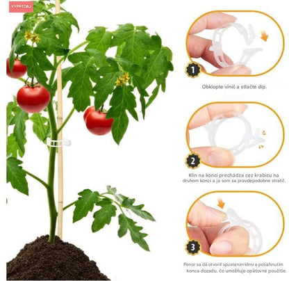 🌱【1 sada 200 🍅 】Pamätáte si na časy, keď vašu záhradu rozdrvilo ovocie? S týmito klipmi sa dá podoprieť všetko.