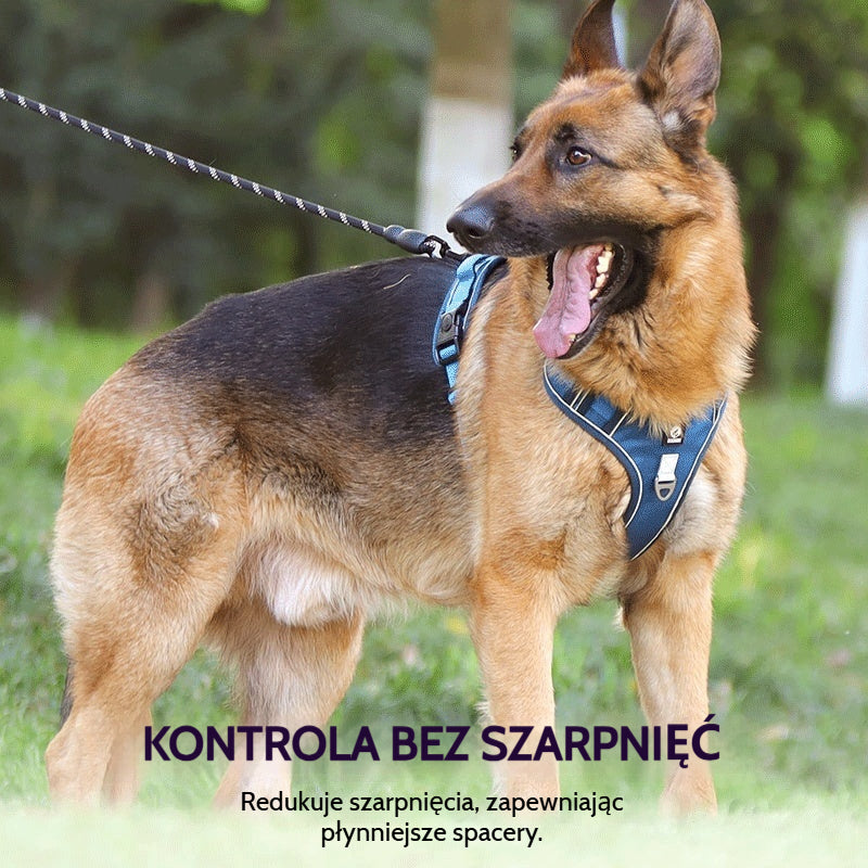 🐶🔥 50% ZNIŻKI NA CZAS OGRANICZONY! Uprząż antyciągowa ze smyczą i obrożą ✨ Maksymalna kontrola i bezpieczeństwo podczas każdego spaceru 🌙