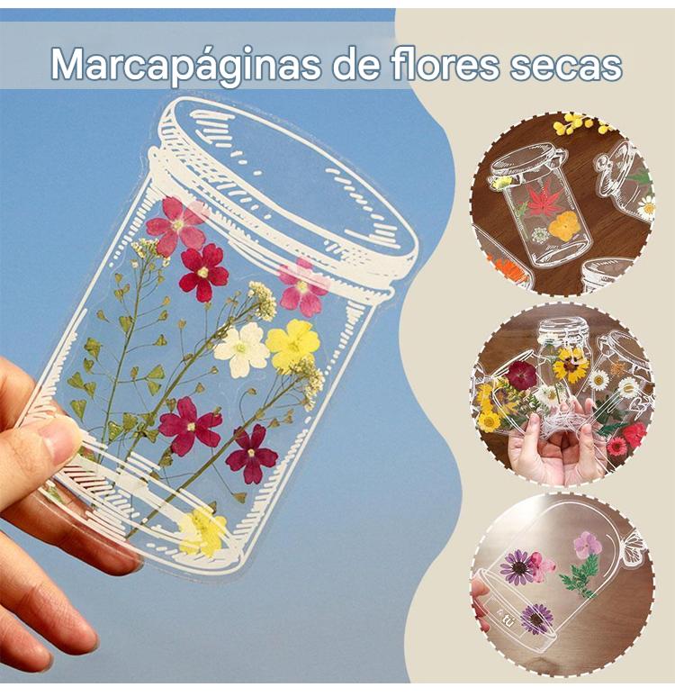 🌸🌷 🍃【80 piezas】Materiales DIY para marcapáginas de flores secas y láminas de plastificado -Flor no incluida
