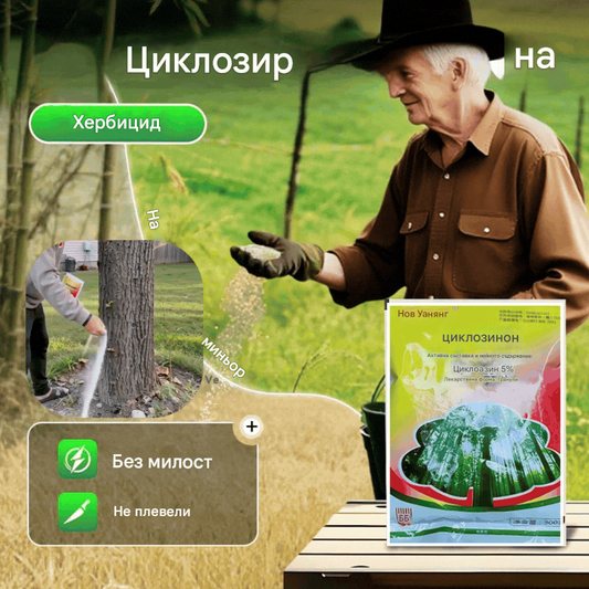 🌴🌳 Циклоазолинонов фунгицид, фунгицид за големи дървета, хербицид